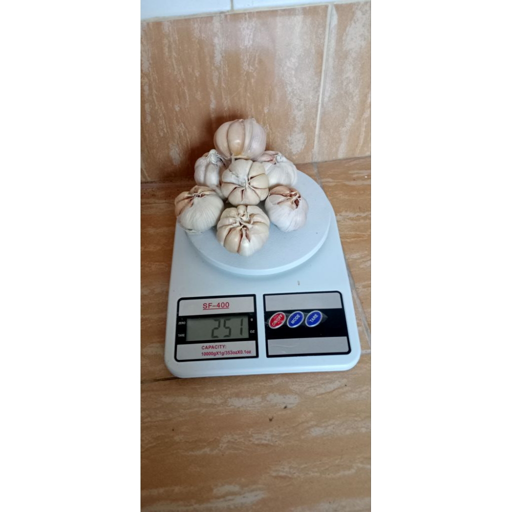 

bawang putih sedang utuh 250gram