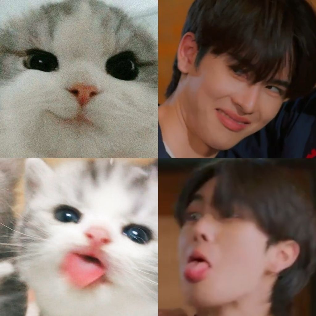 

PACKING SNACK N JELE