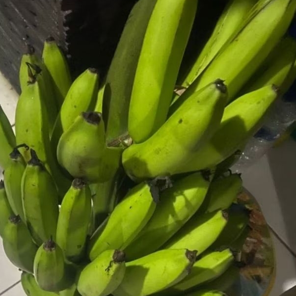 

Buah Pisang Mentah FLT OCK Pisang Bangkaulu