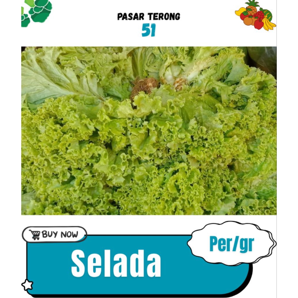 

Daun Selada Segar 15.000
