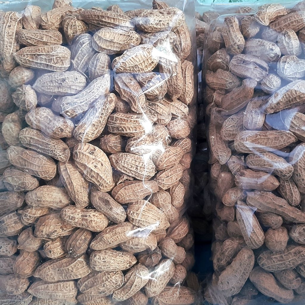 

Kacang Kulit / Kacang Kletik Panggang Goreng Sangrai Pasir (250 gram, 500 gram, dan 1kg)