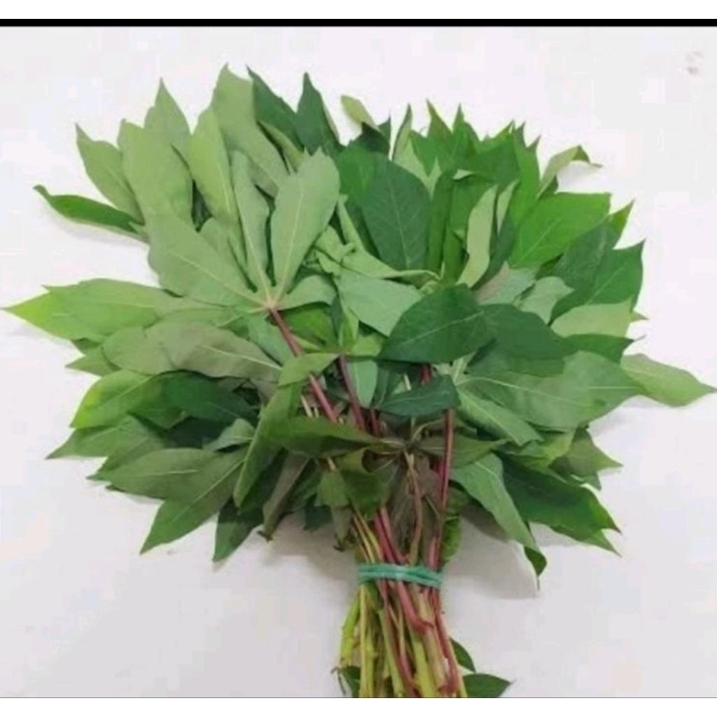 

sayur daun singkong 1iket