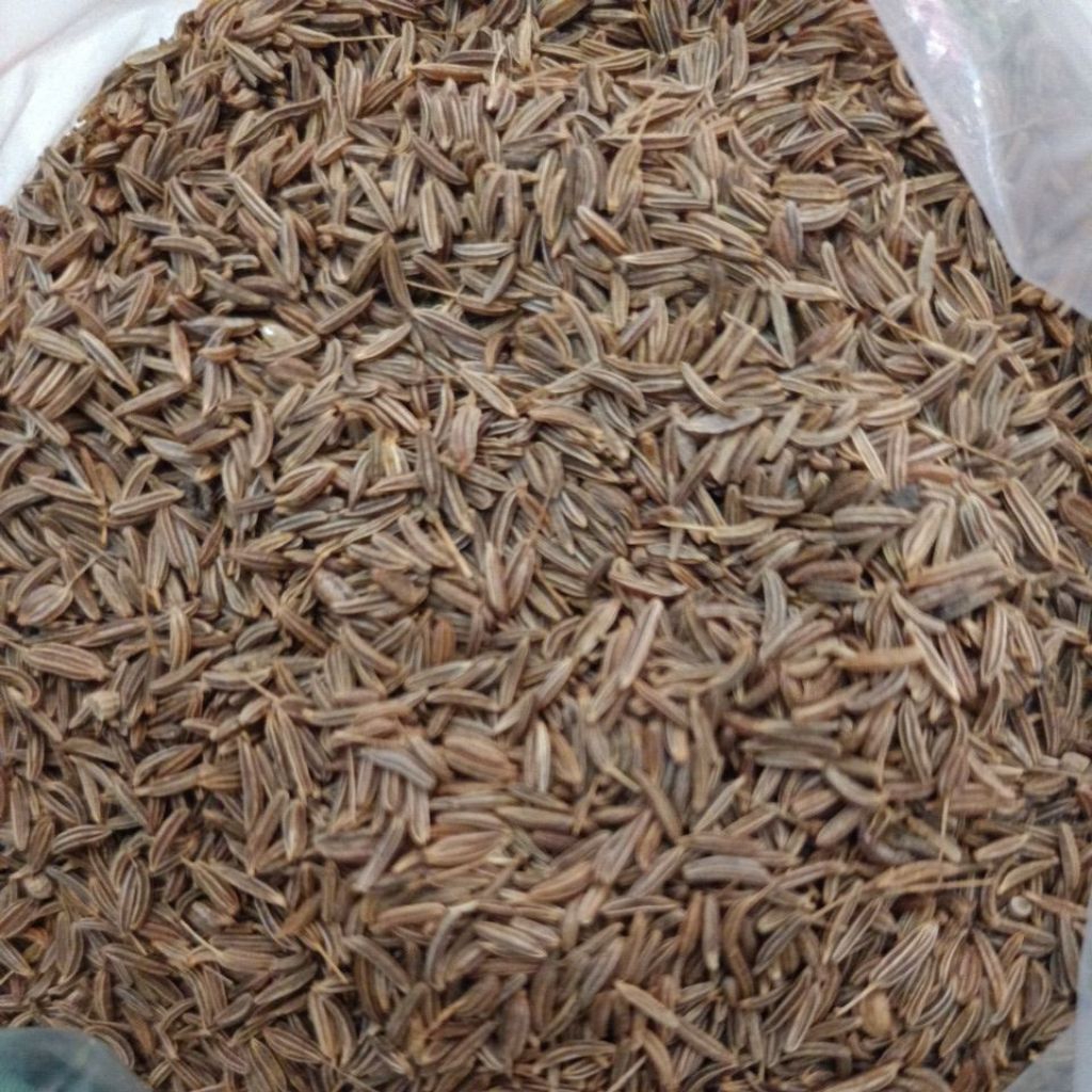 

Jinten | rempah & bumbu | 250 Gram