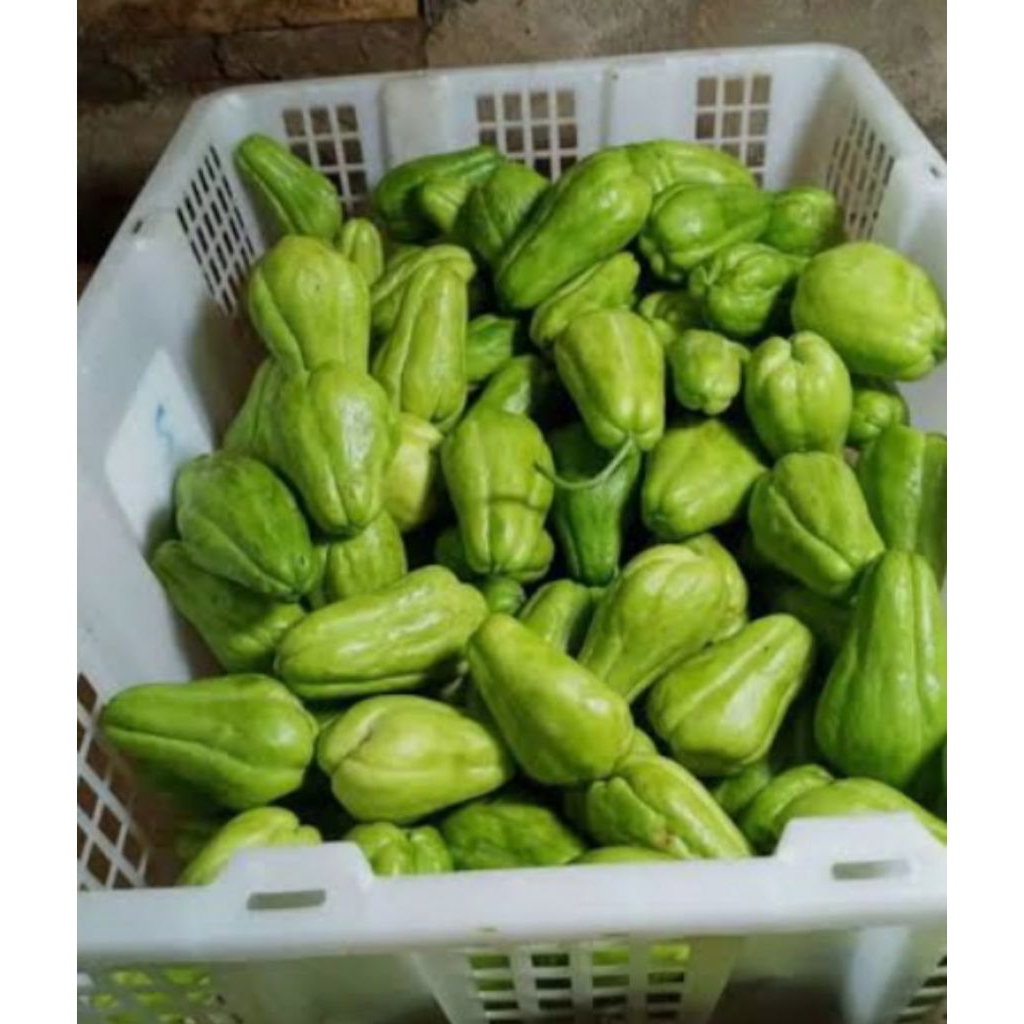 

labu Siam acar
