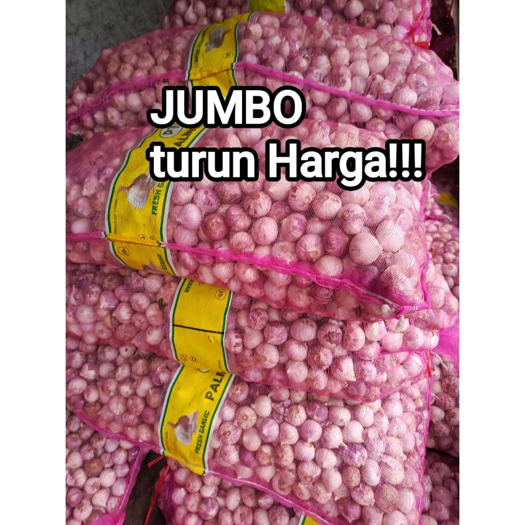 

Bawang Putih Tunggal Lanang 1KG Besar JUMBO fresh import