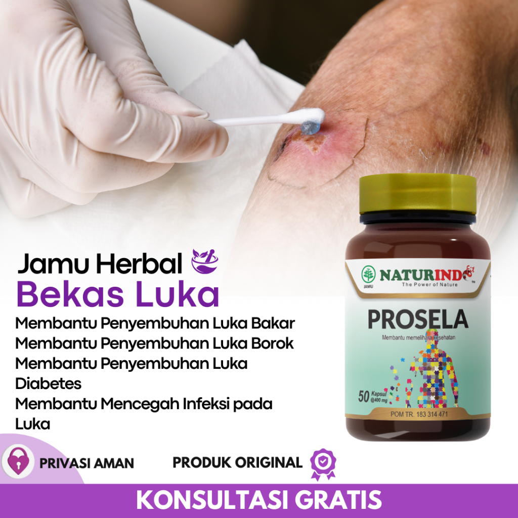 Obat Herbal Bekas Luka Bakar Borok Diabetes Infeksi Kulit Koreng Eksim Paling Ampuh Prosela Naturind