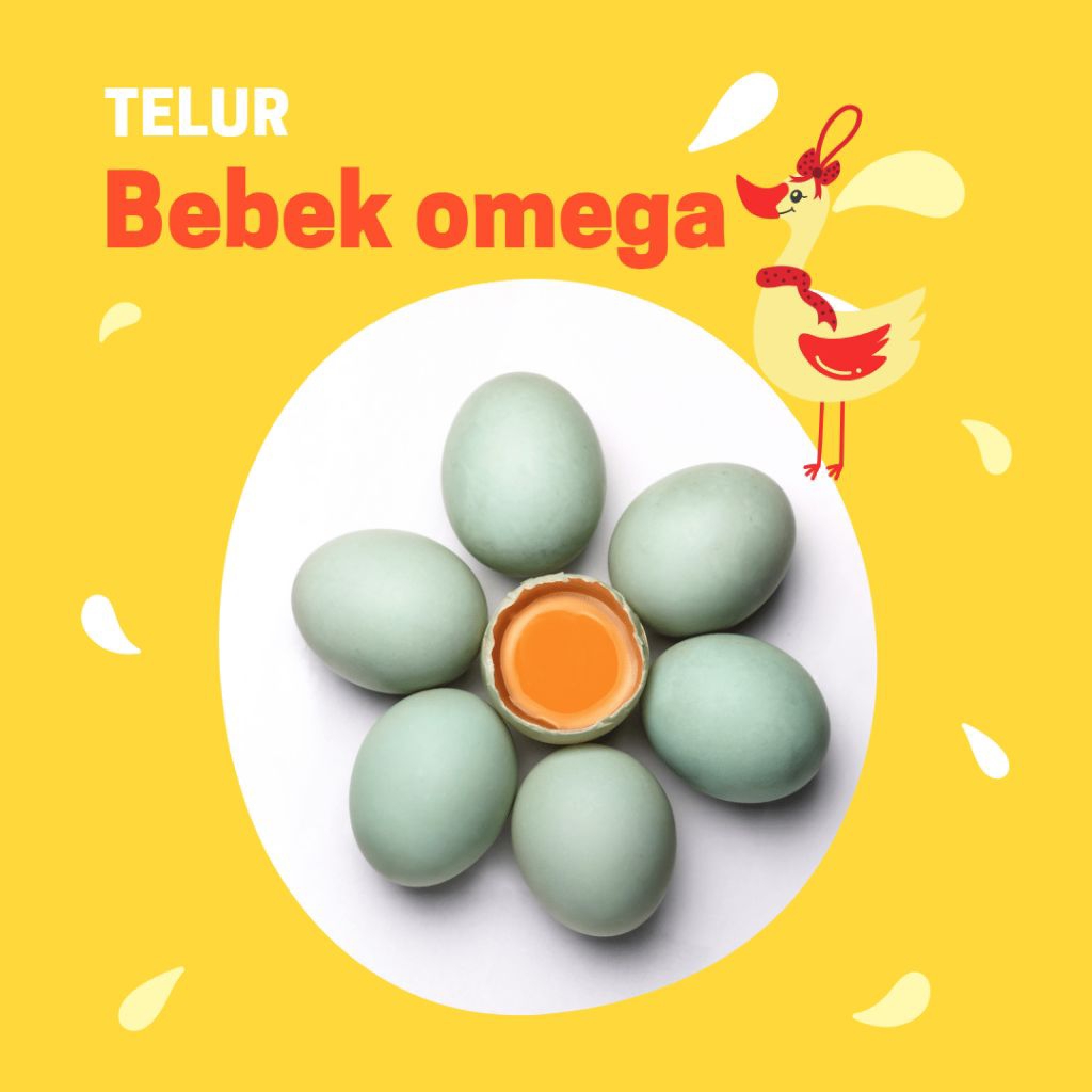 

TELURBEBEK10pcs
