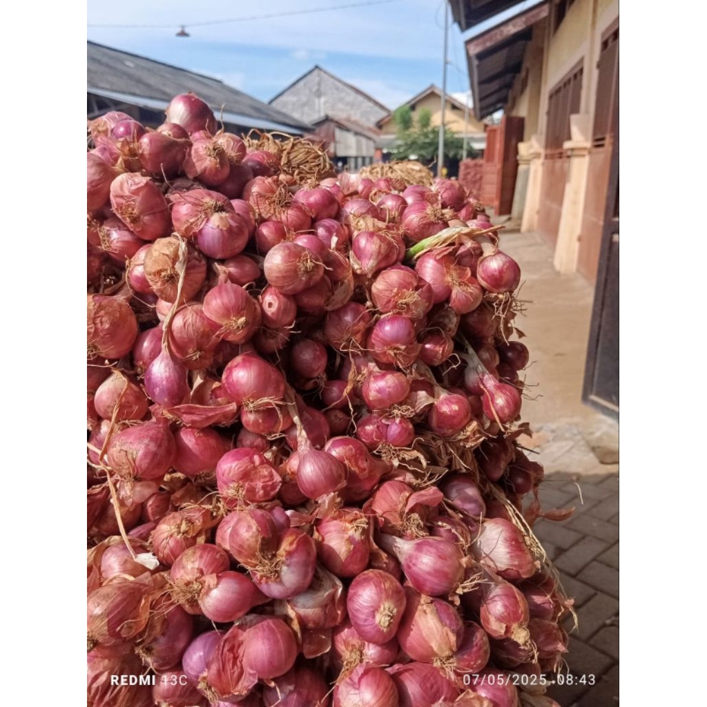 

Bawang Merah Probolinggo Kemasan 500 gram