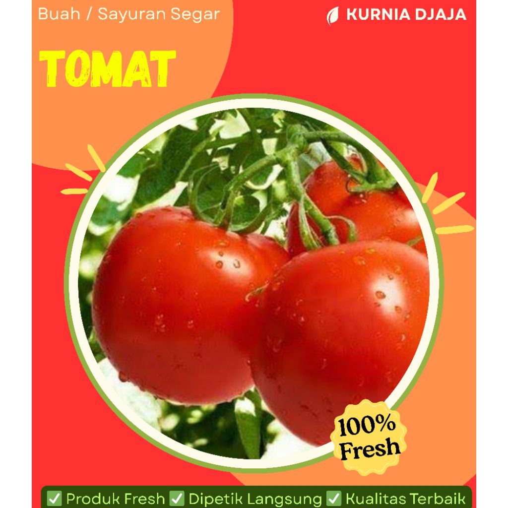 

Tomat Segar 250gr / Langsung dipetik dari Kebun saat pesanan masuk