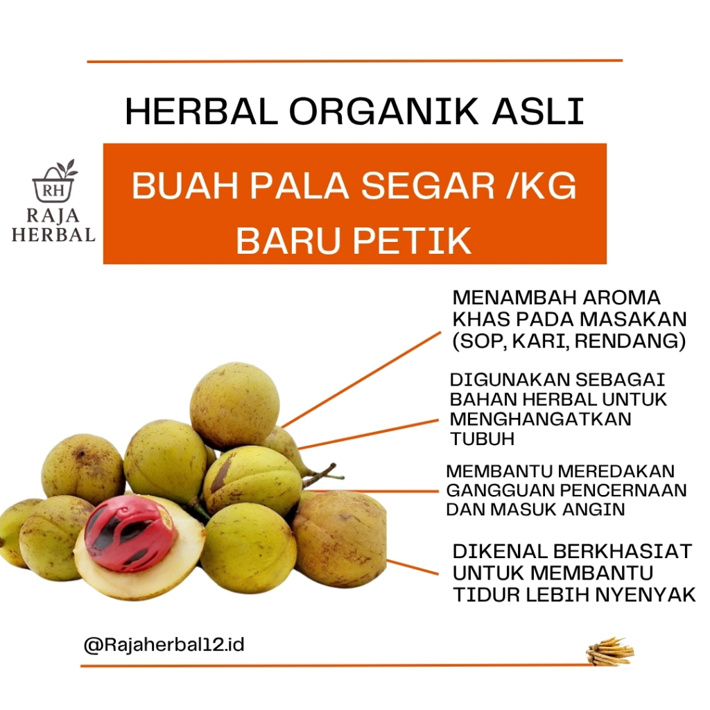 

Buah Pala Mentah 1 kg/Buah Pala Termurah/Rempah Rempah