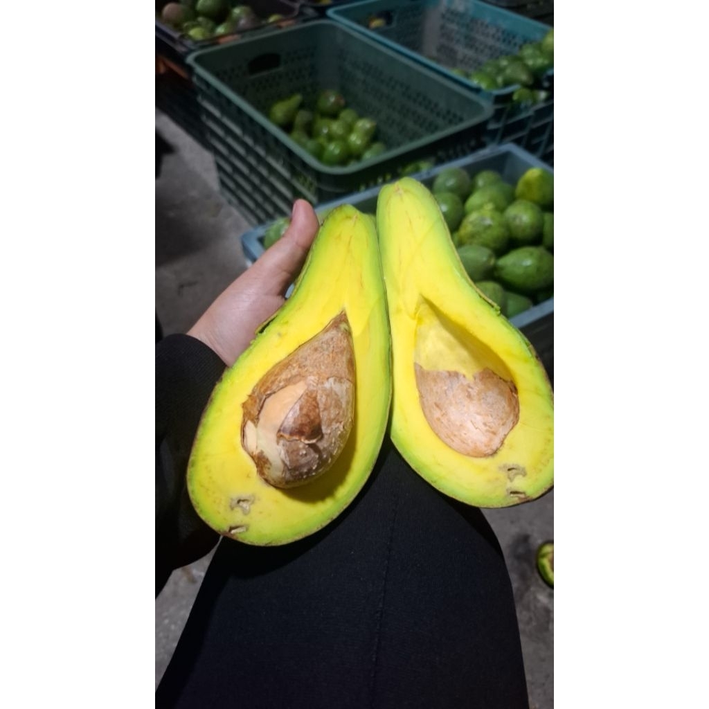 

Alpukat mentega Lonjong | 1000grm