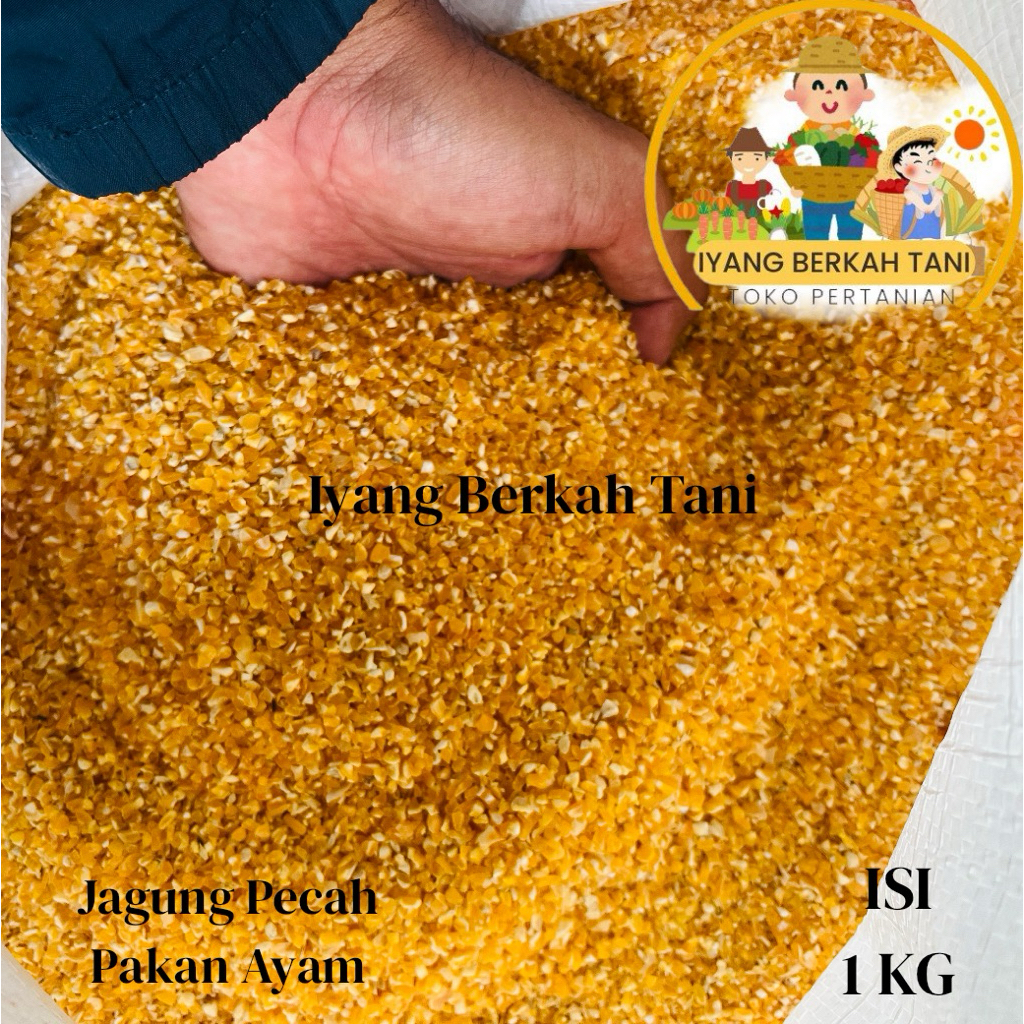 Jagung pecah jagung giling pakan ayam 1 kg