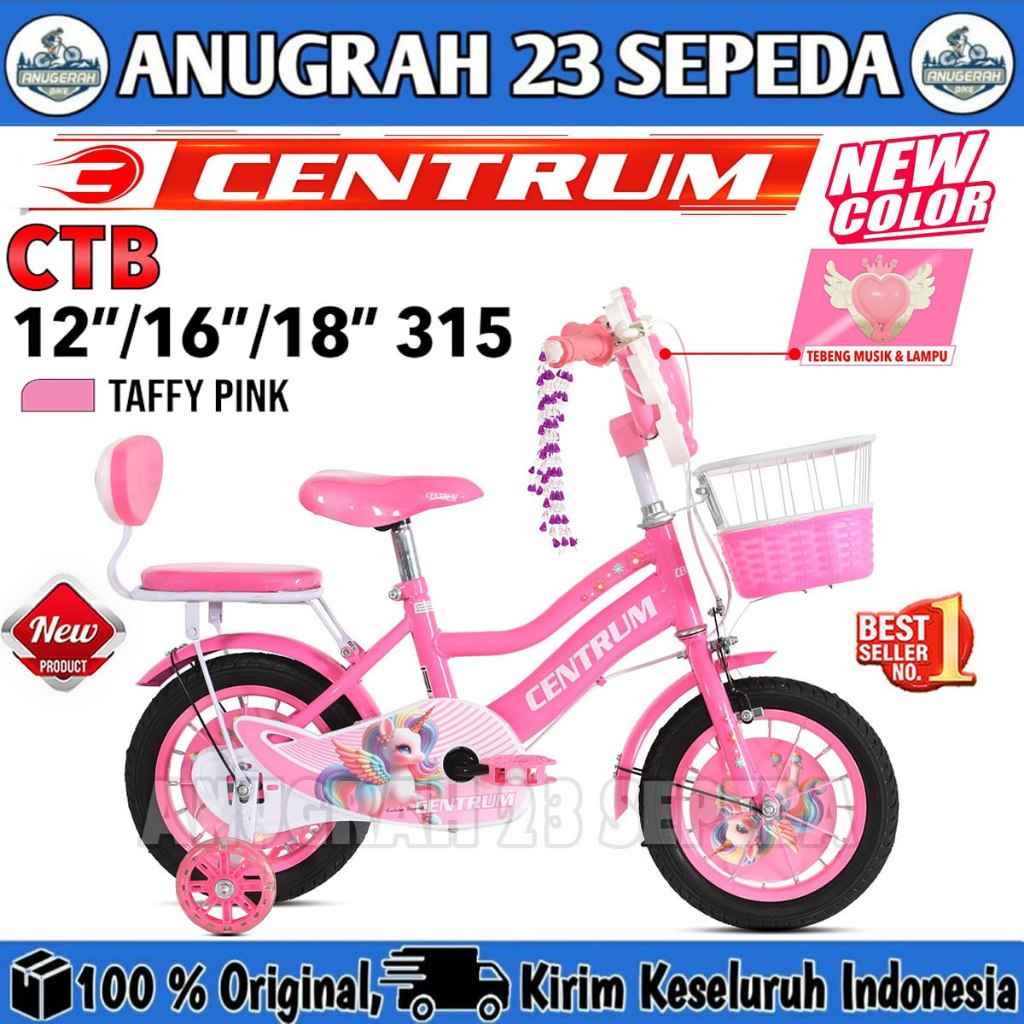 Sepeda Anak Perempuan CENTRUM CTB 315