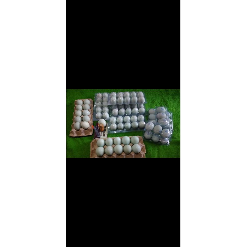 

TELOR ASIN TAMBAK ISI 10 PCS