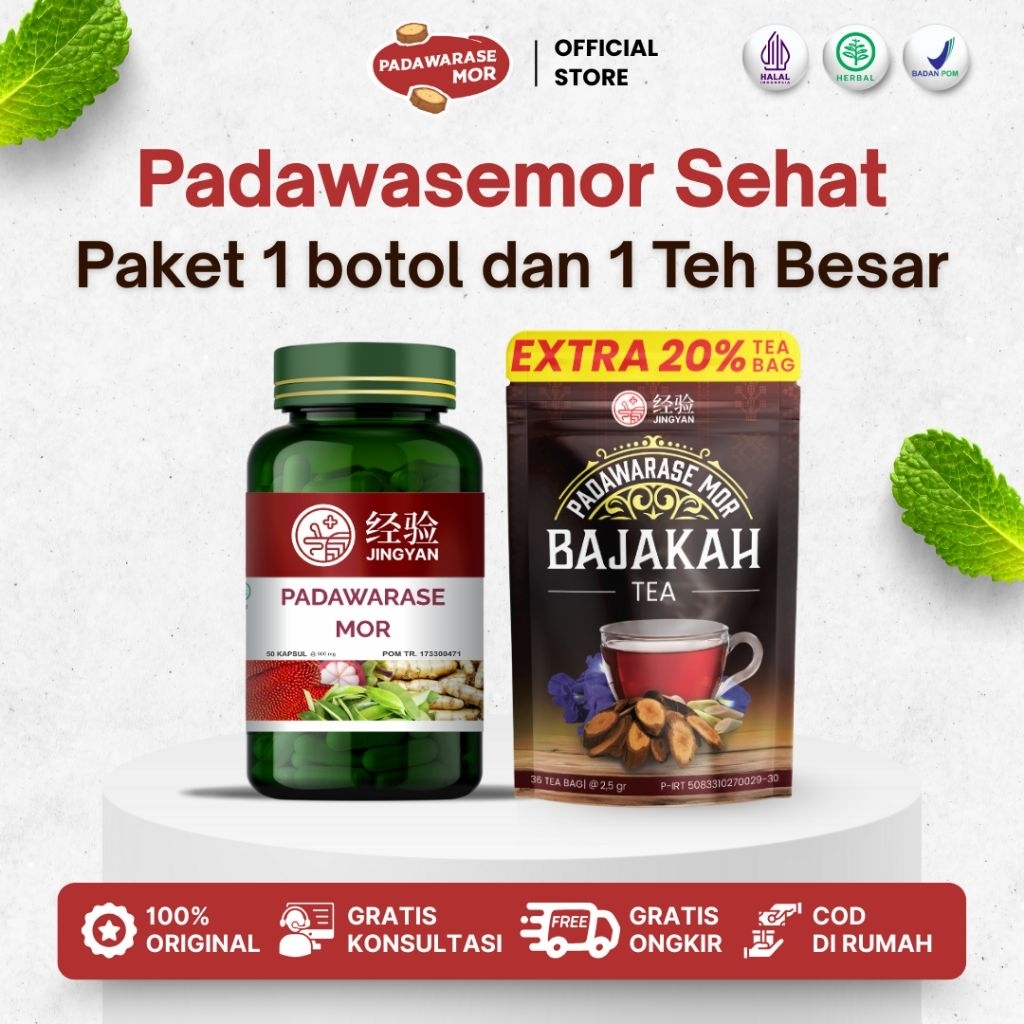 

Obat Benjolan Herbal Alami – Penyusut Benjolan Tubuh, Leher, Ketiak, Payudara