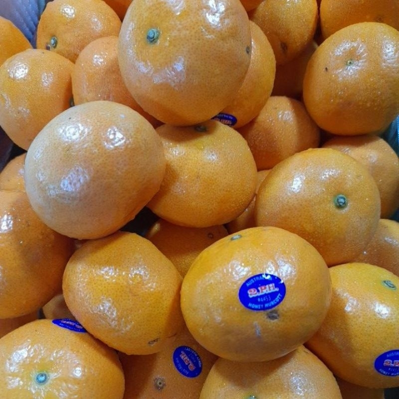 

Jeruk Murcot Import 1 kg