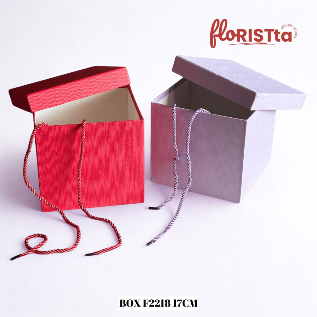

BOX F2218-001 17 CM & 21 CM