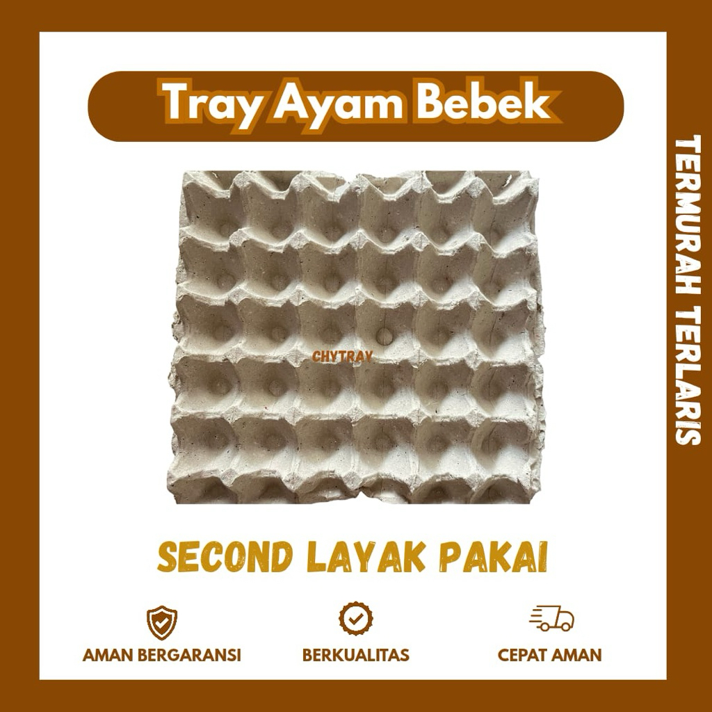

Egg Tray Bekas Tempat Telur Layak Pakai