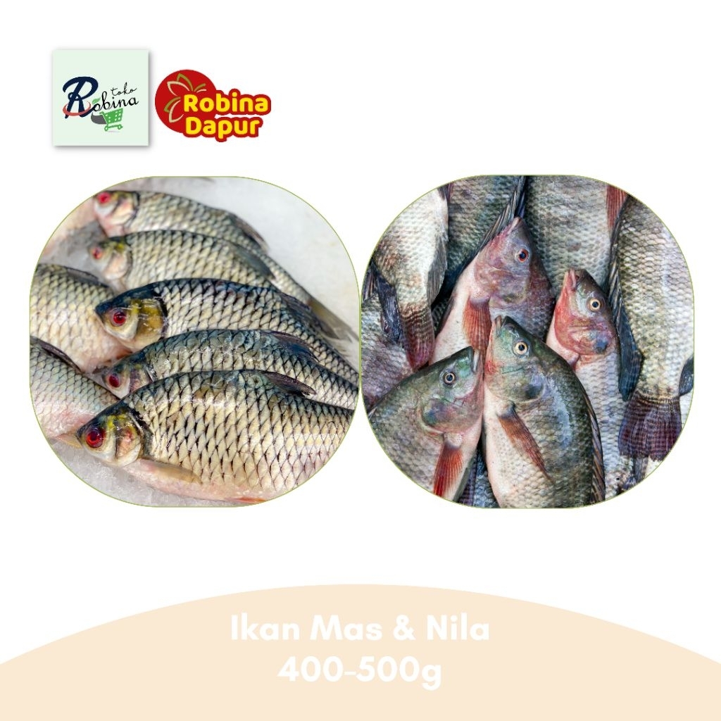 

Ikan Nila Mas Bersih Pack