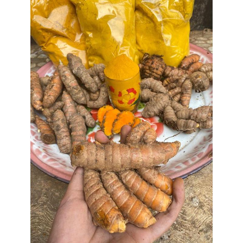 

Kunyit Kunir Bumbu Dapur Segar 1kg