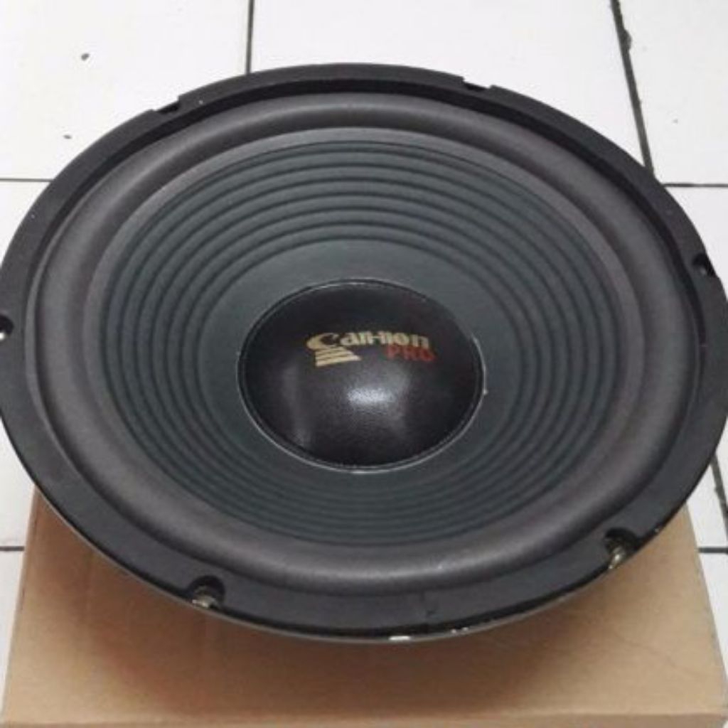 Speaker Canon 12 inch Bekas Pakai