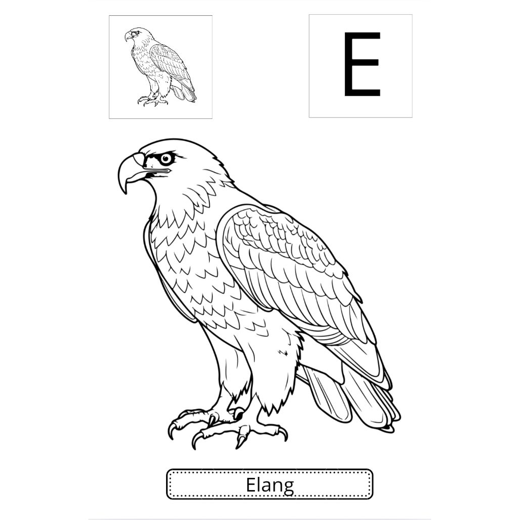 

Animals Coloring Paper sesuai abjad