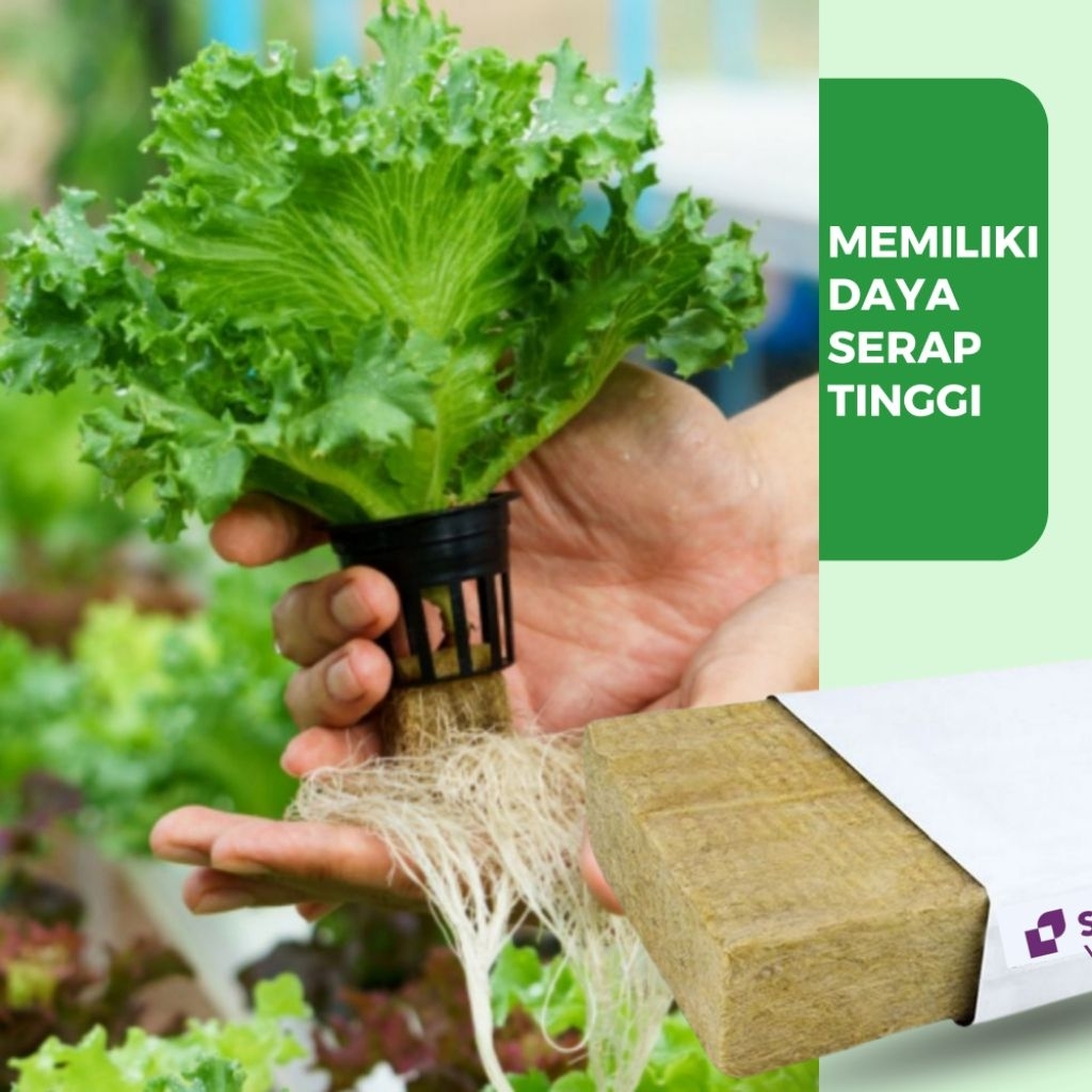 Rockwool Speland Import 1 Slab - 1 meter Media Tanam Hidroponik