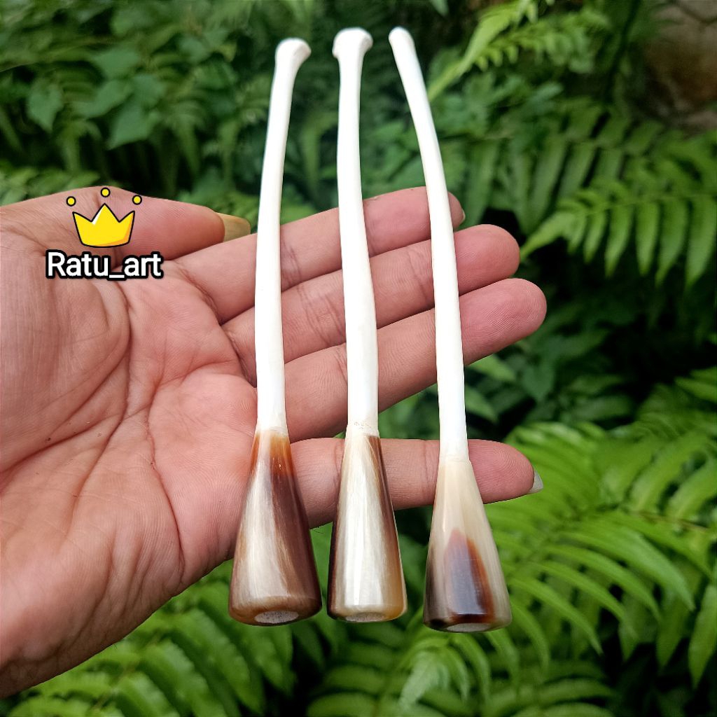 Miawmiaw_Id Once Pipa Tulang Kalong Asli Panjang 17-18Cm