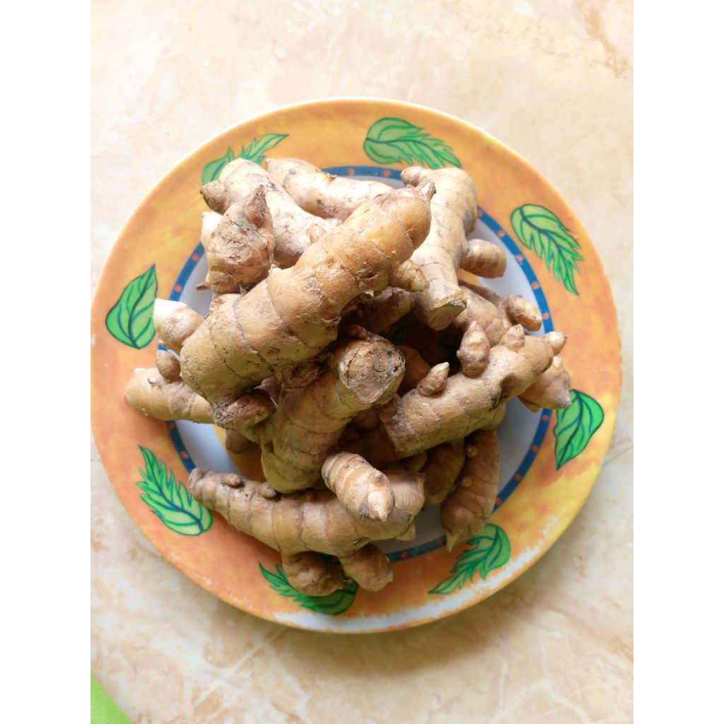 

Kunyit putih ( 500 gr )