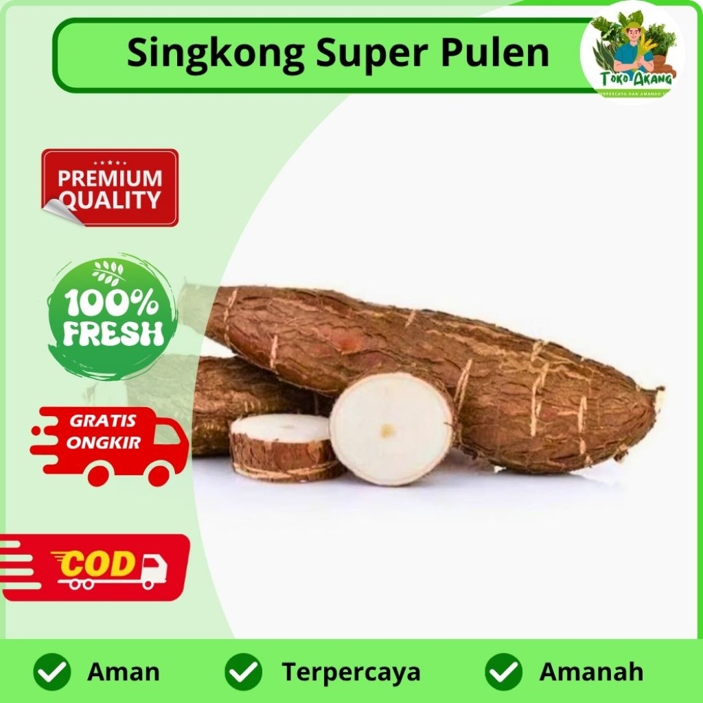 

Umbi singkong pulen kualitas super murah -COD
