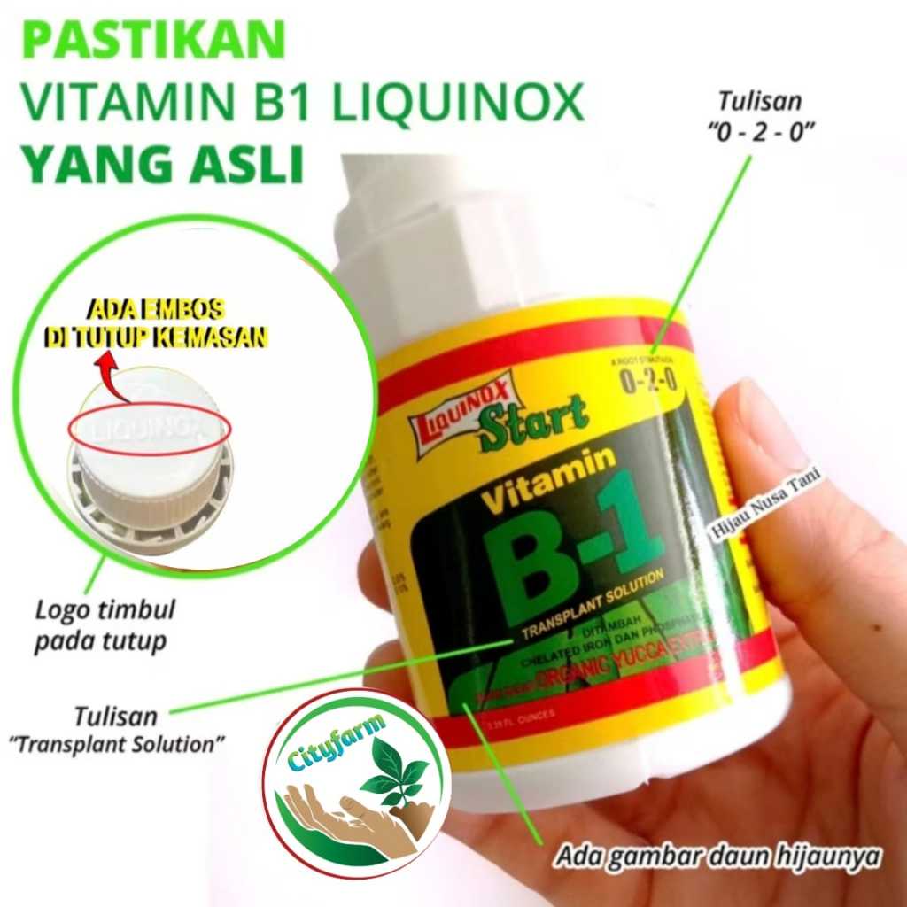 Pupuk Vitamin B1 Tanaman 100ML Liquinox Original Anti Stres Tanaman dijamin ori kemasan asli pabrik