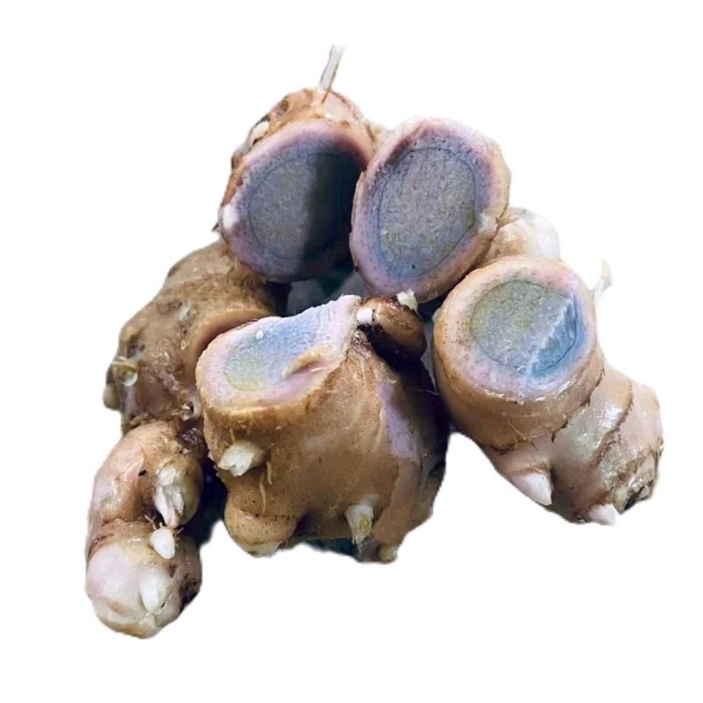 

Umbi bangle hitam segar panglai hitam 500 gram