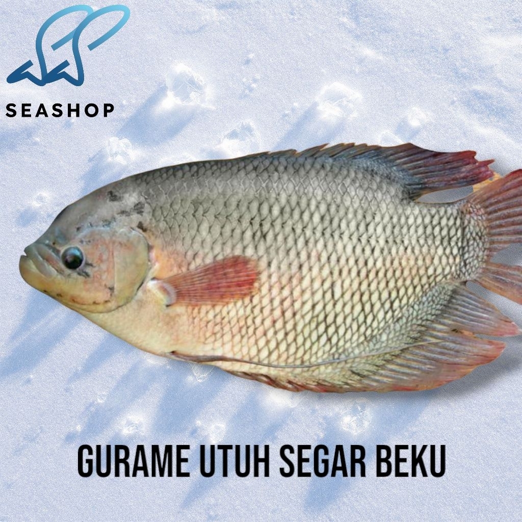 

Ikan Gurame Utuh - Gurame Frozen Ready to Cook