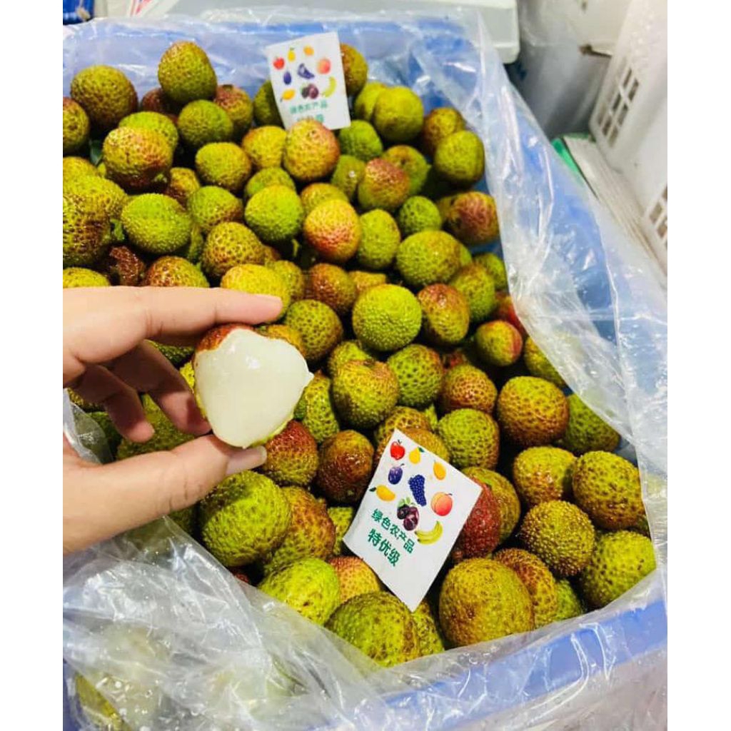 

leci madu manis (KHUSUS INSTAN)
