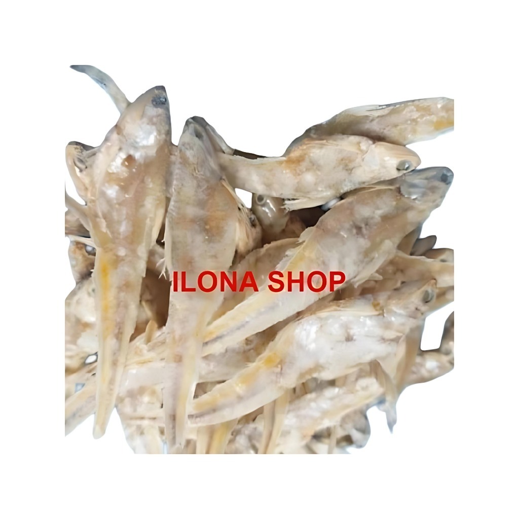 

IKAN ASIN BULU AYAM (MENTAH) 1/2KG 500GR