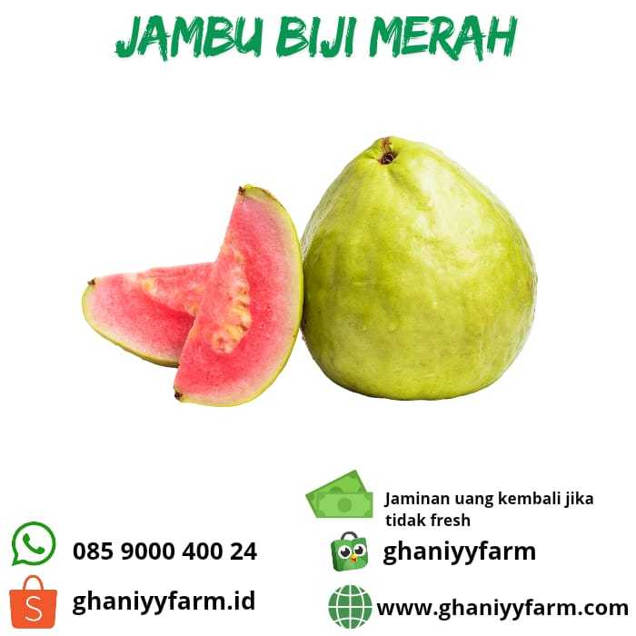 

Buah Jambu Merah 500Gram
