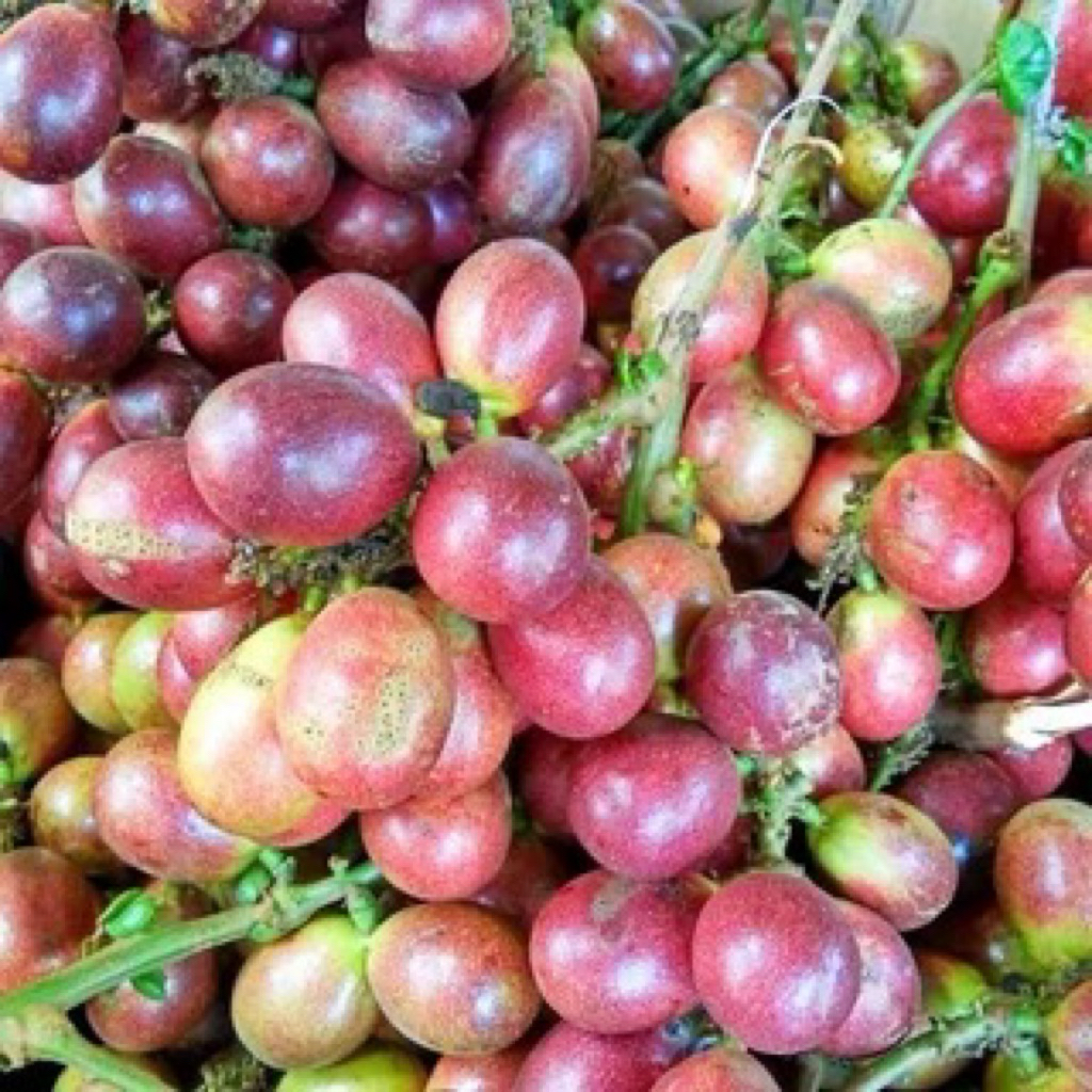 

matoa merah daging tebal manis 1kg
