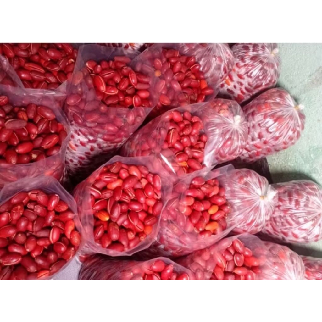 

1KG Kulit Tangkil (Melinjo) Fresh Ful Merah