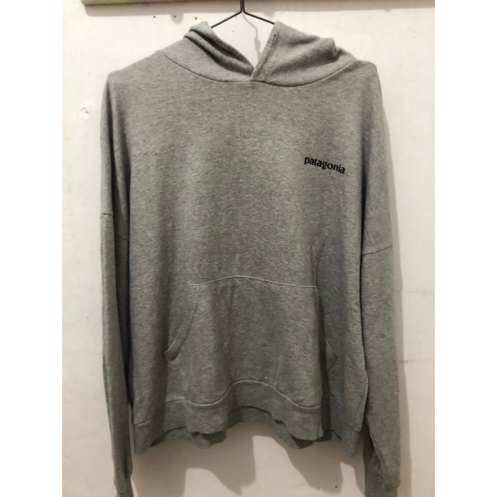 hoodie patagonia
