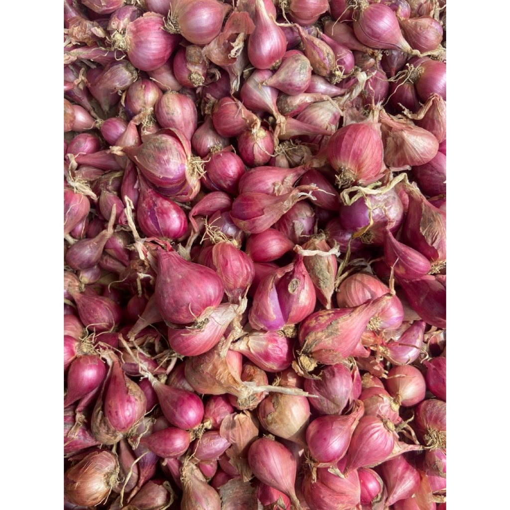 

bawang merah besar bagus 250 gram