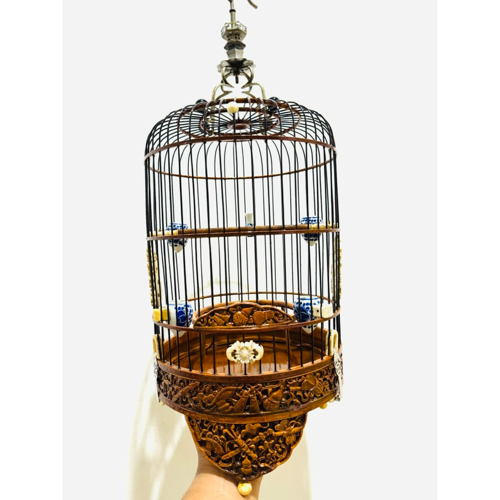 Sangkar Cungkok Pleci Mata Puteh Original