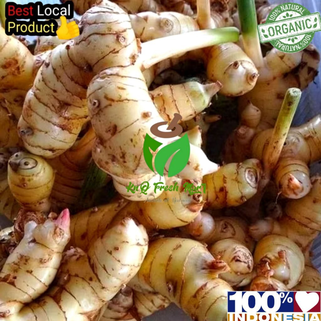 

Lengkuas segar 1kg lengkuas putih laos laja berkualitas