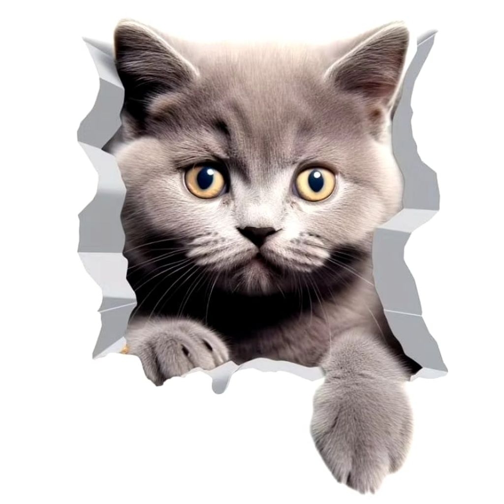 

stiker 3D kucing lucu, stiker print sudah cutting, size 15 x 20 cm, anti air