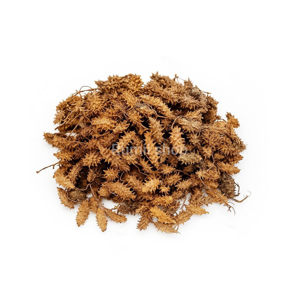 

Herbal Kayu Anyang/Anyang Anyang Kering 1Kg Alami 100%