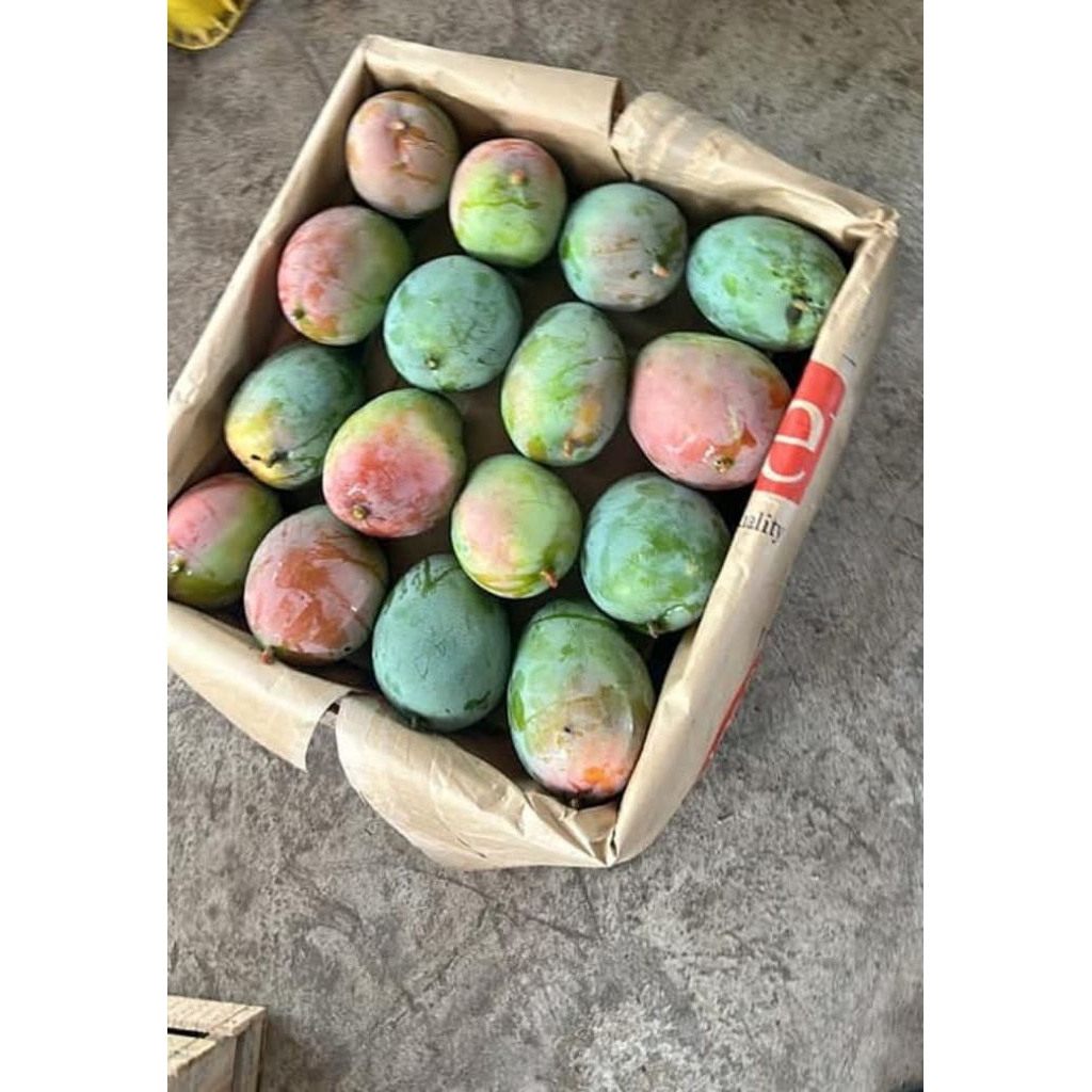 

Mqngga Madu Mentah stgh kg Mentah