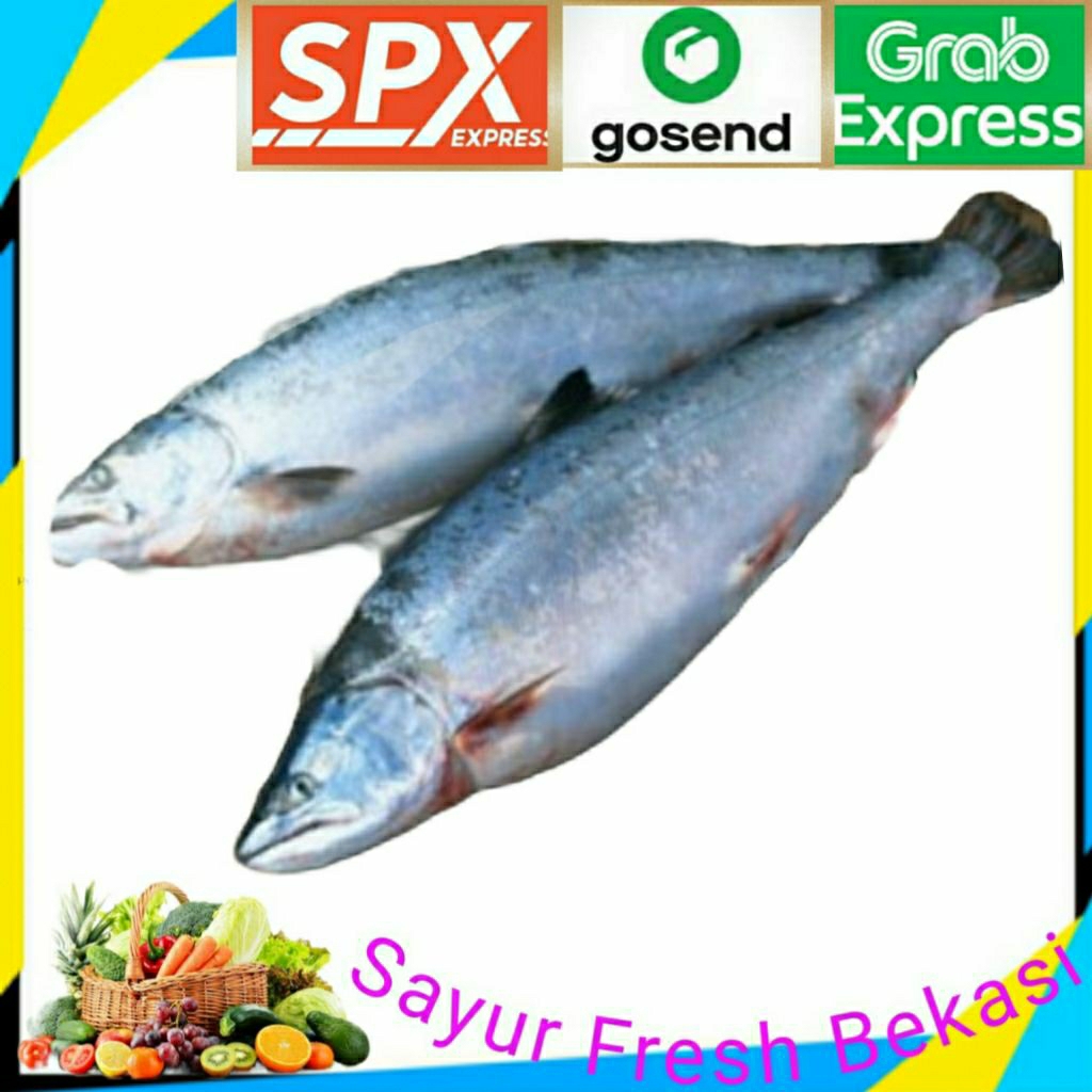 

Ikan Salmon Lokal Segar ( 1 ekor ).