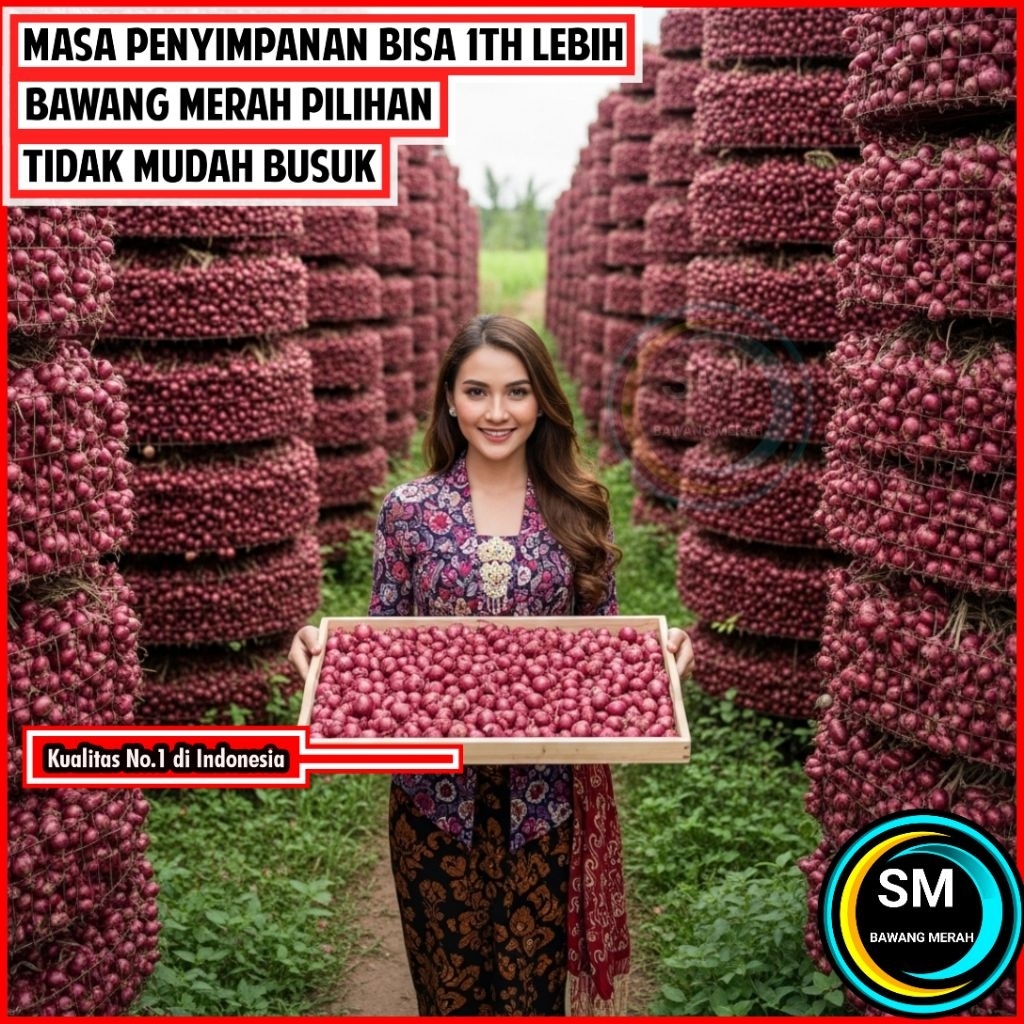 

BAWANG MERAH MURAH BERKUALITAS 1 KG