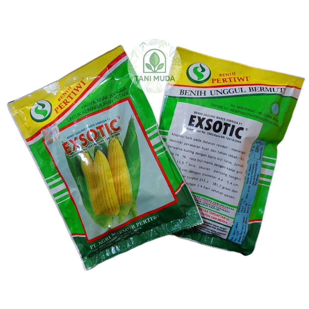 BENIH JAGUNG EXSOTIC F1