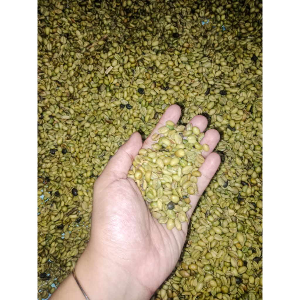 

Kopi Excelsa | Excelsa Wonosalam | Green Beans | 250gr, 500gr, 1kg