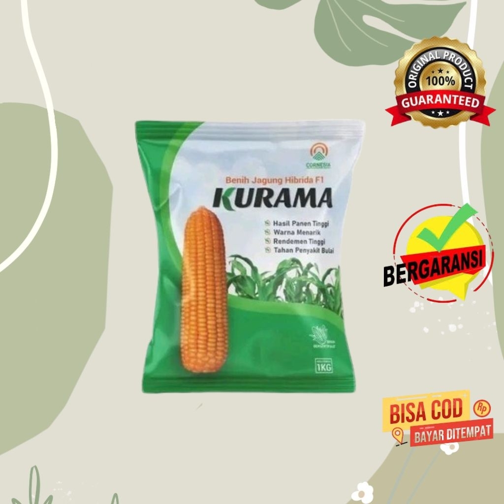 

benih jagung kurama 1 kg
